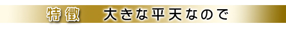 大きな平天なので