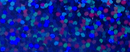 C204 royal blue
