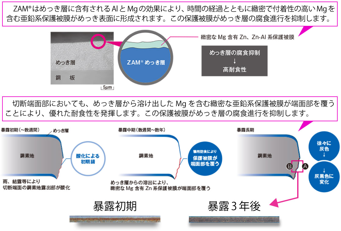 ZAMとは…