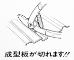テスキー