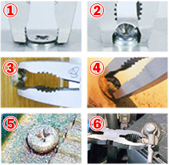 ネジザウルス使用例