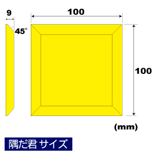 スキージ　隅だ君サイズ